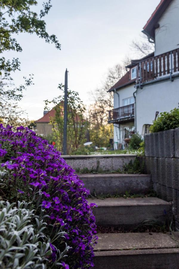 Gaestehaus Bechtloff Meißen Eksteriør billede